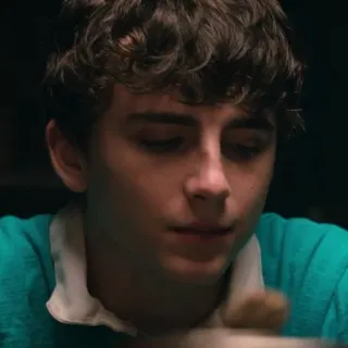 😞 Timothée Chalamet актер, знаменитость, портрет, фильм whatsapp sticker