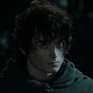 💍 Frodo Baggins The Lord of the Rings Frodo, Senhor dos Anéis, Elijah Wood, hobbit, filme, fantasia whatsapp sticker