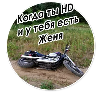 🙊 Когда ты HD и у тебя есть Женя 오토바이, 차량, 오프로드, 충돌, 사고, 오토바이 telegram sticker