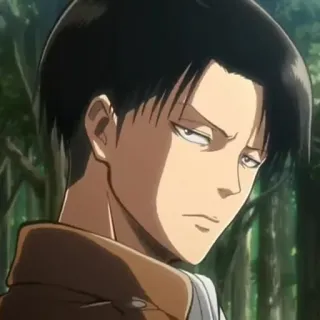 ✨ Levi Ackerman Attack on Titan Anime, Manga, Levi, Attack on Titan, Ackerman telegram sticker