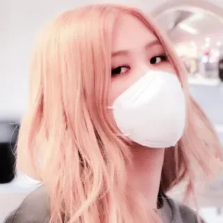 🌹 Rose Kpop, Rose, Blackpink, Cantante, Ídolo, Celebridad, Mascarilla whatsapp sticker