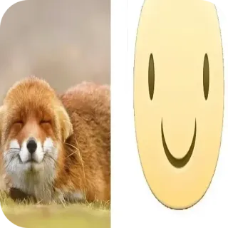 🦊 狐狸, 动物, 笑脸, 表情符号, 可爱 telegram sticker