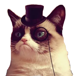 🎩 Grumpy Cat gato, gato gruñón, monóculo, sombrero de copa, animal, meme whatsapp sticker
