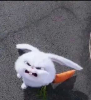 🐰 Snowball The Secret Life of Pets conejo, enfadado, zanahoria, dibujos animados, mascota, animado whatsapp sticker