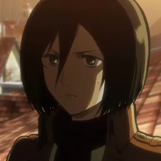 🗡 Mikasa Ackerman Attack on Titan anime, manga, attack on titan, mikasa, soldier, serious telegram sticker