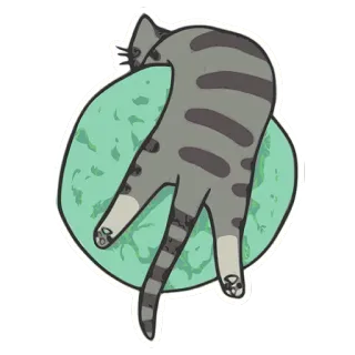 😣 gatto, adesivo, animale, gatto tigrato, carino telegram sticker