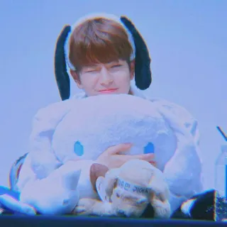 🐱 내숭 백단 귀요미 mignon, coréen, peluche, idole, lapin, kawaii, peluche whatsapp sticker
