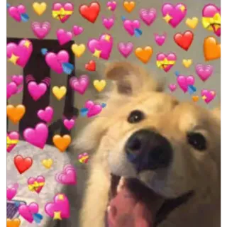doggo hearts telegram stickers