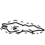 🤕 chat, animal, dessin, dessin animé, blanc, noir whatsapp sticker