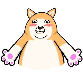 😽 perro, dibujos animados, lindo, animal, shiba inu whatsapp sticker