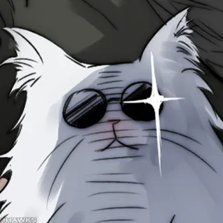 😎 HAWKS chat, lunettes de soleil, cool, blanc, animal, mème telegram sticker