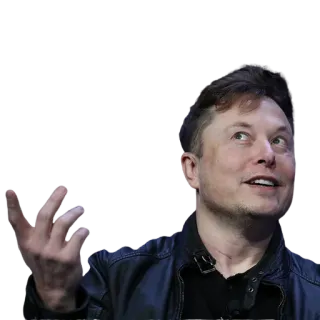 💁‍♂ Elon Musk elon musk, empreendedor, negócios, tesla, spacex telegram sticker