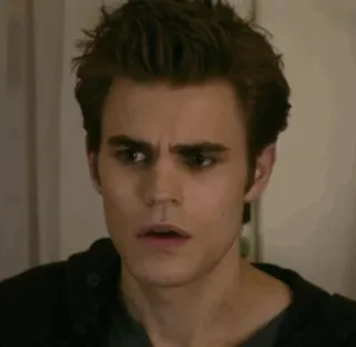 😥 Stefan Salvatore The Vampire Diaries Стефан Сальваторе, Дневники вампира, Сериал, Вампир, Портрет, Пол Уэсли telegram sticker