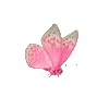🦋