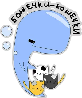 😃 БОЖЕЧКИ-КОШЕЧКИ wieloryb, koty, słodkie, kawaii, zwierzęta telegram sticker