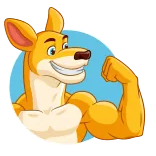 💪 canguro, dibujos animados, animal, músculos, flexionando, fuerte telegram sticker