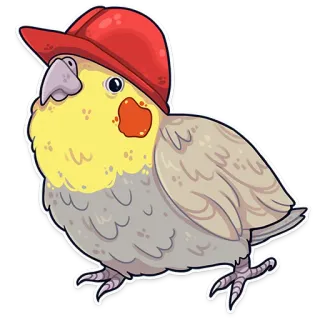 🙄 ptak, nimfa, papuga, zwierzę domowe, zwierzę, czerwony kapelusz, kreskówka telegram sticker