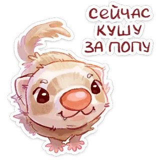⭐ сейчас КУШУ ЗА ПОПУ furão, fofo, animal, desenho animado, comendo, engraçado telegram sticker