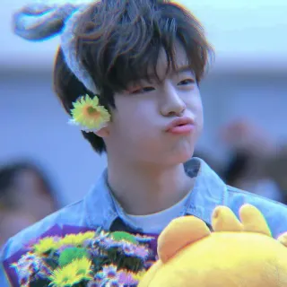 🐱 whatsapp sticker