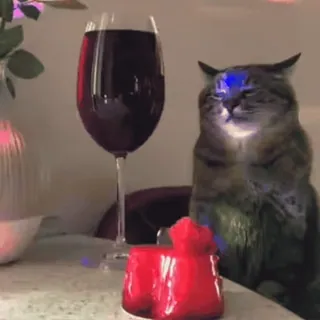 🍷 cat, wine, drink, pet, animal, glass telegram sticker