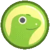 🦎