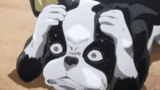 😱 dog, anime, shocked, panic, worried telegram sticker