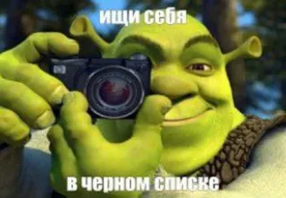📸 Shrek ищи себя
в черном списке シュレック, 怪物, カメラ, ミーム telegram sticker