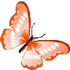 🦋