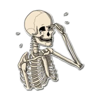 😨 scheletro, piangere, triste, lacrime, ossa, anatomia, emozione telegram sticker