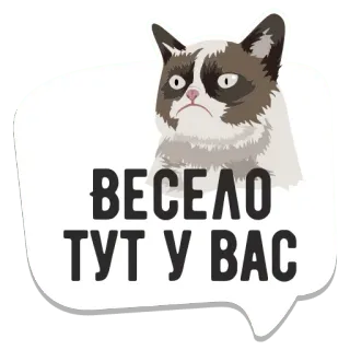 👍 ВЕСЕЛО ТУТ У ВАС grumpy cat, 猫, 表情包, 贴纸, 俄语 whatsapp sticker