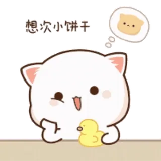 👩‍🍳 想次小饼干 고양이, 귀여운, 이모지, 동물, 만화 whatsapp sticker