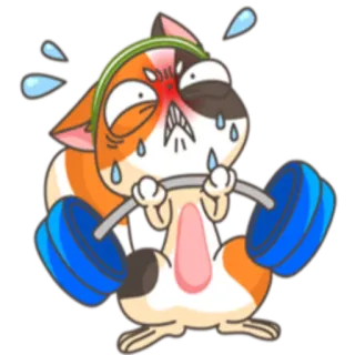 🏋 猫, 健身, 举重, 锻炼, 卡通, 汗 whatsapp sticker