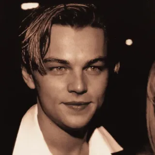 🌻 Leonardo DiCaprio Leonardo DiCaprio, actor, portrait, celebrity telegram sticker