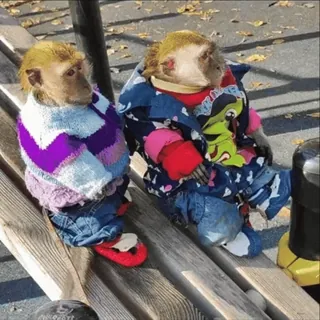 Больше стиков тут: @stikery4 whatsapp stickers
