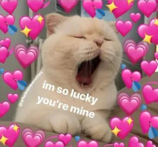 💗 im so lucky you're mine kucing, hati, cinta, beruntung, milikku, penyayang, imut telegram sticker