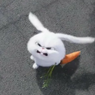 🌟 Snowball The Secret Life of Pets 卡通, 兔子, 兔子, 动物, 搞笑, 生气 telegram sticker