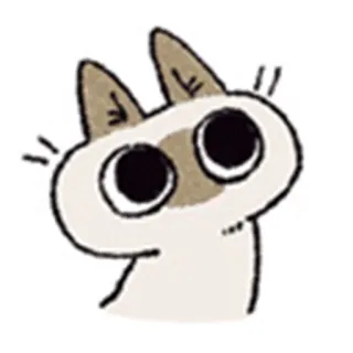 😶 kucing, imut, binatang, kartun, stiker whatsapp sticker