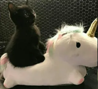 🍑 cat, kitten, black cat, unicorn, stuffed animal, cute, adorable, pet, animal telegram sticker