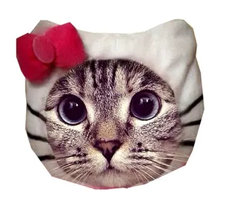 🙄 mèo, động vật, mèo con, thú cưng, dễ thương telegram sticker