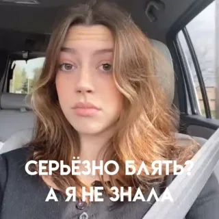 стикерпаки от заи 2.0 :: @fStikBot telegram stickers