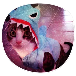 🙄 cat, shark, animal, costume, pet telegram sticker