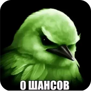 🐦‍⬛️ О ШАНСОВ bird, green, angry, meme, furious telegram sticker