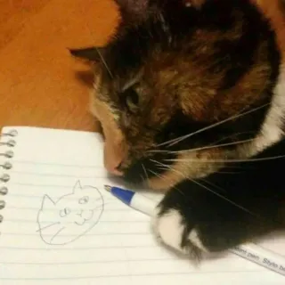 🐈 고양이, 그림, 동물, 애완동물, 스케치, 노트 telegram sticker