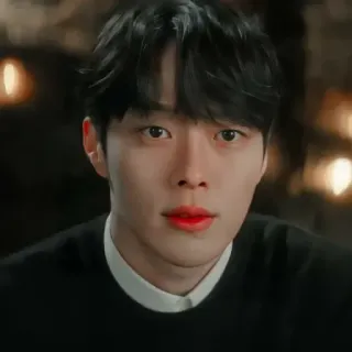 🦊 asiático, hombre, retrato, coreano, actor telegram sticker