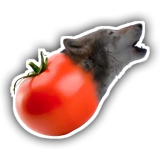 🐺 lobo, tomate, fruta, verdura, animal, híbrido, divertido, pegatina whatsapp sticker