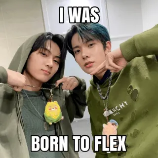 💪 I WAS
BORN TO FLEX flexing, meme, celebrities, kpop telegram sticker
