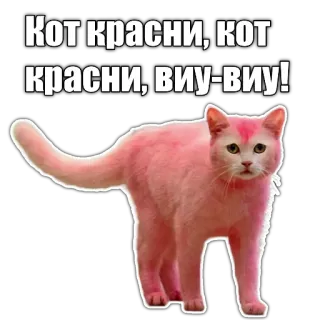 ❗️ Кот красни, кот красни, виу-виу! cat, pink, animal, meme, funny, russian, text telegram sticker