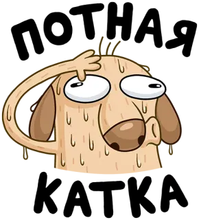 😤 만화, 개, 땀, 혼란스러움, 동물, 밈, 표정, 웃긴 telegram sticker