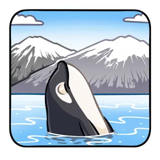 😊 범고래, 고래, 바다, 바다, 산, 자연, 동물 telegram sticker
