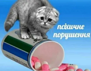 пушистые мемы @catsandsadness telegram stickers